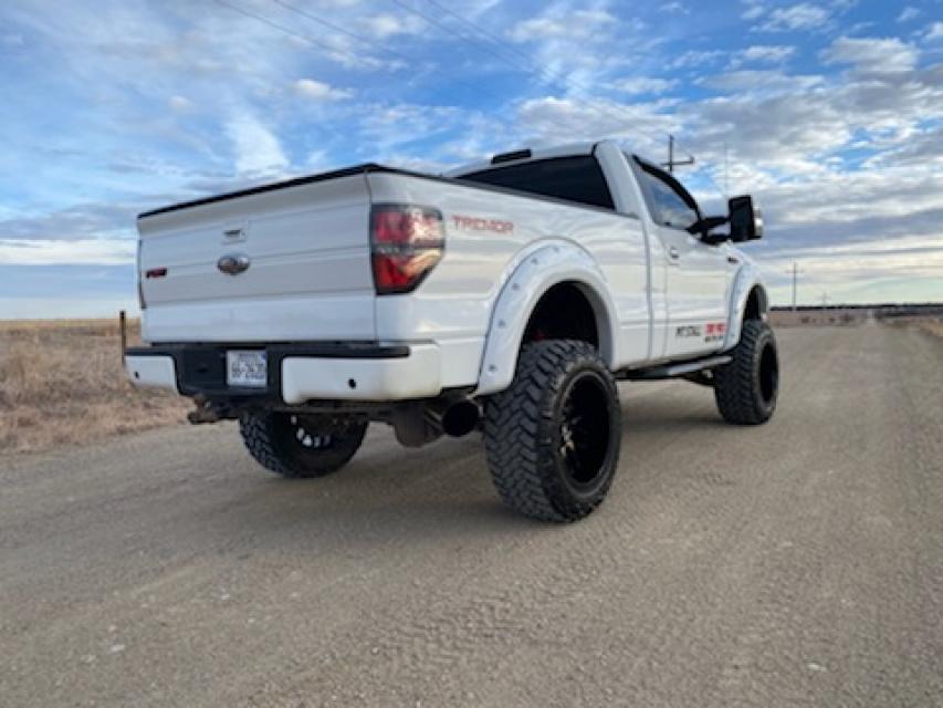 POCKET FENDER FLARES FORD F-150 2WD/4WD (2009-2014)