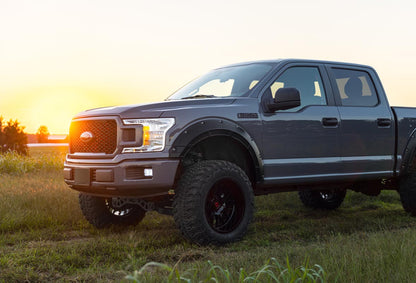 FENDER FLARES DEFENDER | FORD F-150 2WD/4WD (2015-2020)