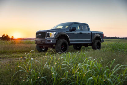 FENDER FLARES DEFENDER | FORD F-150 2WD/4WD (2015-2020)