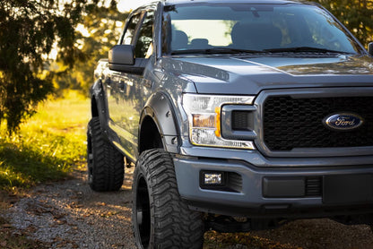 FENDER FLARES DEFENDER | FORD F-150 2WD/4WD (2015-2020)