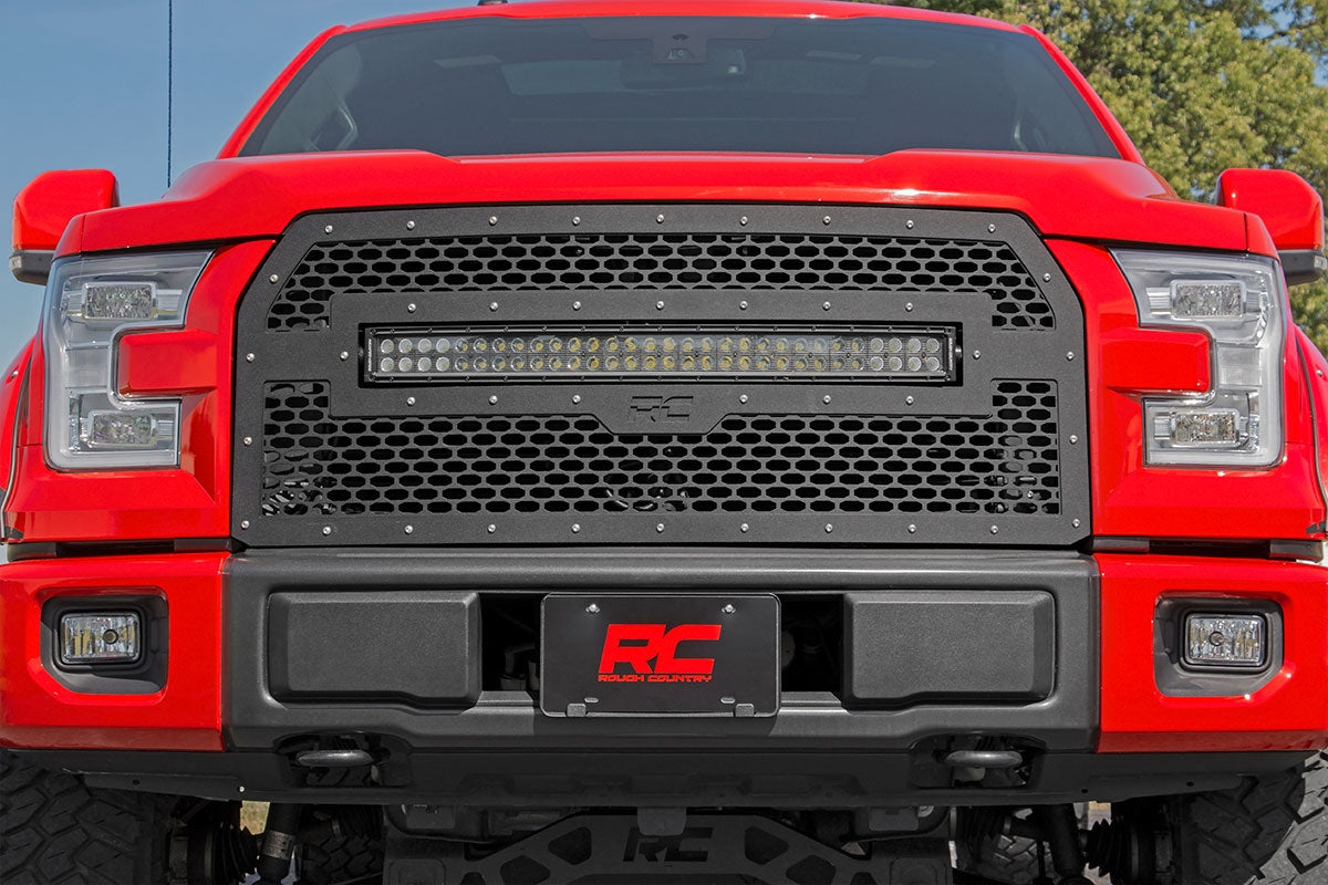 MESH GRILLE FORD F-150 2WD/4WD (15-17)