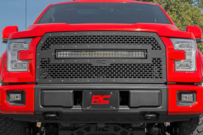 MESH GRILLE FORD F-150 2WD/4WD (15-17)