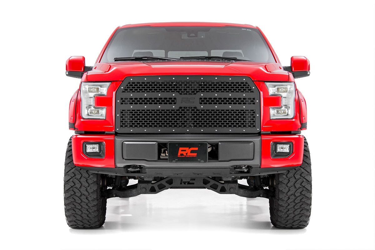 MESH GRILLE FORD F-150 2WD/4WD (2015-2017)