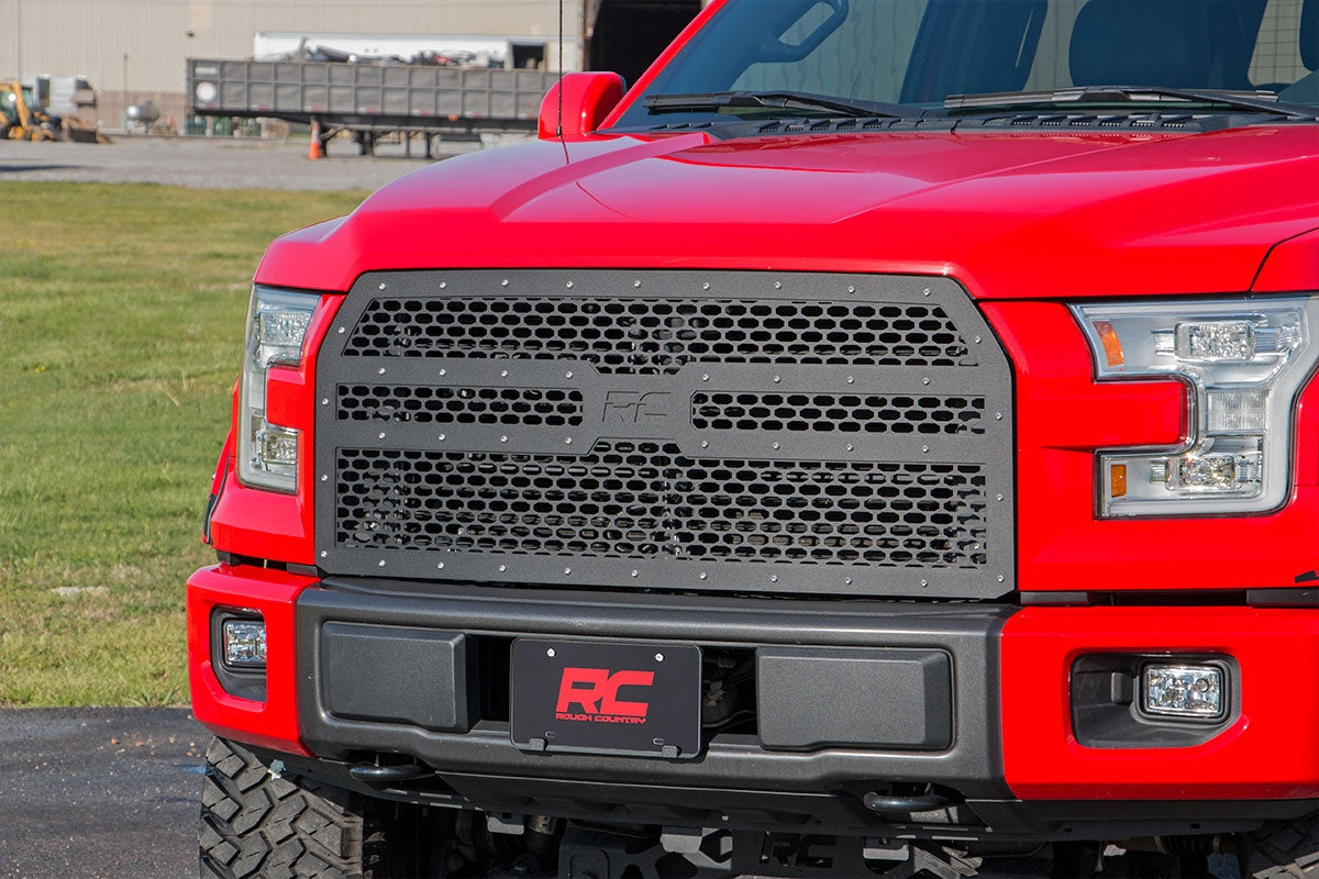 MESH GRILLE FORD F-150 2WD/4WD (2015-2017)