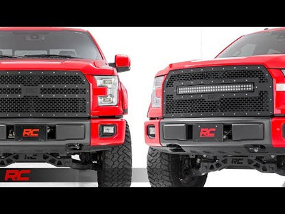 MESH GRILLE FORD F-150 2WD/4WD (2015-2017)